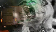 Van'da Köpek Saldırısı Faciası: 5 Yaşındaki Hamza Kurtarılamadı