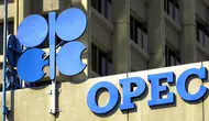 BAE'den kritik karar: En büyük üreticilerinden olduğu OPEC ve OPEC+'dan ayrılıyor!