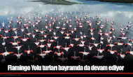 Flamingo Yolu turları bayramda da devam ediyor