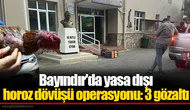 Bayındır'da yasa dışı horoz dövüşü operasyonu: 3 gözaltı