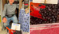 İzmir'de zeytinin tanesini 50 liradan satan satıcıya ceza kesildi