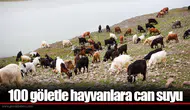 100 göletle hayvanlara can suyu