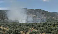 Bayındır'da zeytinlik alanda yangın
