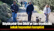 Büyükşehir'den Dikili’ye tam teşekküllü sokak hayvanları kampüsü