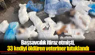 Başsavcılık itiraz etmişti, 33 kediyi öldüren veteriner tutuklandı