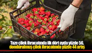 Taze çilek ihracatında ilk dört ayda yüzde 56, dondurulmuş çilek ihracatında yüzde 44 artış