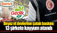 Beyaz et devlerine şafak baskını: 13 şirkete kayyum atandı