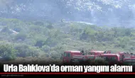 Urla Balıklova’da orman yangını alarmı