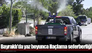 Bayraklı'da yaz boyunca ilaçlama seferberliği