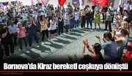 Bornova'da Kiraz bereketi coşkuya dönüştü