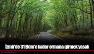 İzmir'de 31 Ekim'e kadar ormana girmek yasak