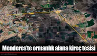 Menderes’te ormanlık alana kireç tesisi