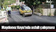 Maydonoz Koyu’nda asfalt çalışması