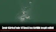 İzmir Körfezi'nde 14'üncü kez kirlilik tespit edildi