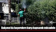 Balçova'da haşerelere karşı kapsamlı mücadele