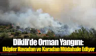 Dikili’de Orman Yangını: Ekipler Havadan ve Karadan Müdahale Ediyor
