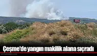 Çeşme'de yangın makilik alana sıçradı
