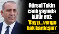 Gürsel Tekin canlı yayında küfür etti: 'Vay p....venge bak kardeşim'