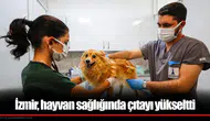 İzmir, hayvan sağlığında çıtayı yükseltti