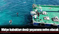 Midye kabukları deniz yaşamına nefes olacak