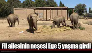 Fil ailesinin neşesi Ege 5 yaşına girdi