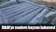 Dikili’ye modern hayvan bakımevi