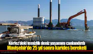 Körfez'deki temizlik deniz yaşamını canlandırdı