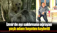 İzmir’de ayı saldırısına uğrayan yaşlı adam hayatını kaybetti