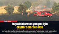 Foça'daki orman yangını için ekipler seferber oldu