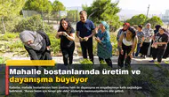 Mahalle bostanlarında üretim ve dayanışma büyüyor