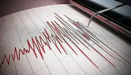 Yapay zeka deprem öncesi gizli sismik örüntüleri tespit etti