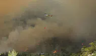 Fethiye'de orman yangını: Bir mahalle tedbir amacıyla boşaltılıyor