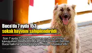 Buca’da 7 ayda 153 sokak hayvanı sahiplendirildi