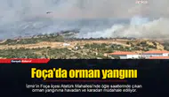 Foça'da orman yangını