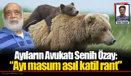 Ayıların Avukatı Senih Özay Seferihisar'daki ayı için konuştu: "Katil ayı değil ormanları imara açanlar"