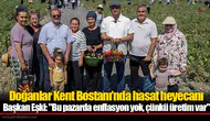 Doğanlar Kent Bostanı’nda hasat heyecanı