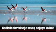 Gediz’de sivrisineğe savaş, doğaya kalkan