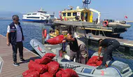 Yasa Dışı Kara Midye Avcılığına Geçit Yok