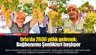 Urla’da 2600 yıllık gelenek; Bağbozumu Şenlikleri başlıyor