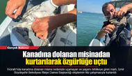 Kanadına dolanan misinadan kurtarılarak özgürlüğe uçtu