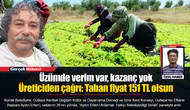 Üzümde verim var, kazanç yok... Üreticiden çağrı: Taban fiyat 151 TL olsun