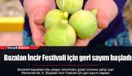 Bozalan İncir Festivali için geri sayım başladı
