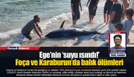 Ege’nin ‘suyu ısındı!’ Foça ve Karaburun’da balık ölümleri