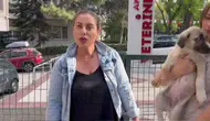 Hayvanları Koruma Derneği Başkanı Gülay Akgün Mutlu'nun katil zanlısı Kırıkkale'de gözaltına alındı