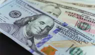 Goldman Sachs dolar/TL tahminini 59 liraya yükseltti