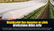 Büyükşehir’den domates ve çilek üreticisine iklim zırhı