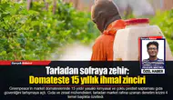 Tarladan sofraya zehir:  Domateste 15 yıllık ihmal zinciri