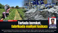 Tarlada bereket, fabrikada maliyet kıskacı