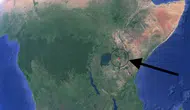 Columbia Üniversitesi: Afrika'da tektonik yarılma hızlandı, yeni okyanus oluşacak