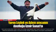 Yaren Leylek ve Adem amcanın dostluğu İzmir Sanat’ta
